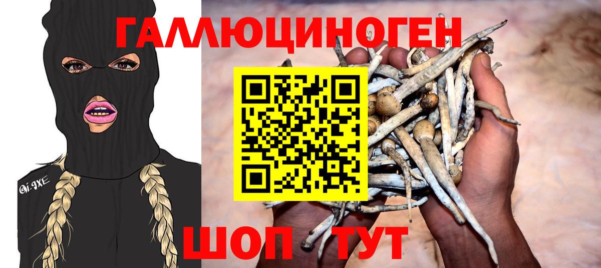 Галлюциногенные грибы Psilocybine cubensis Новокуйбышевск